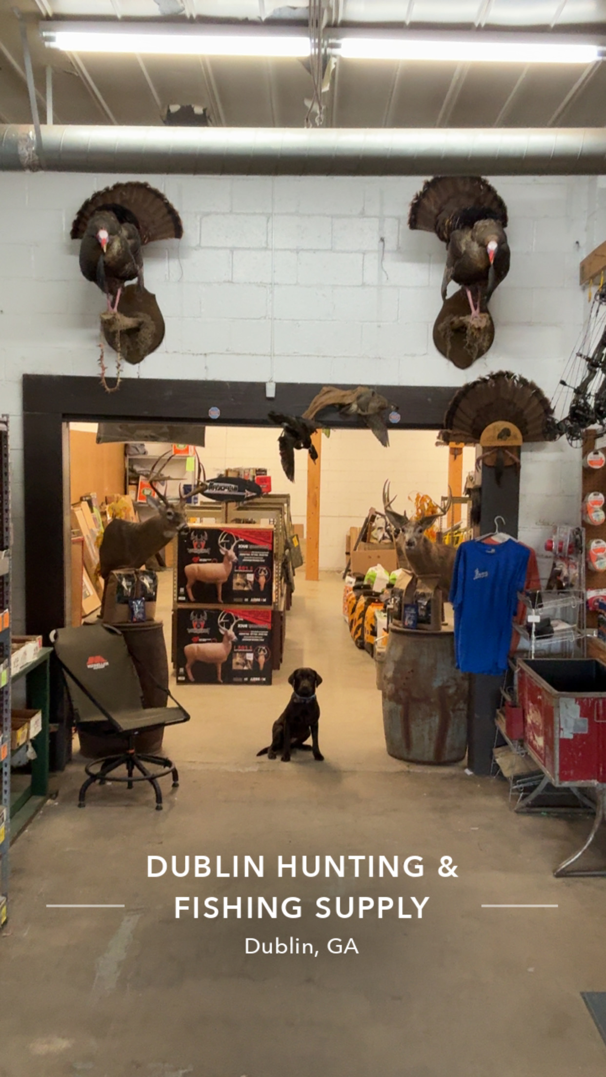 Dublin Hunting & Fishing